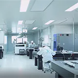 Profil de la société